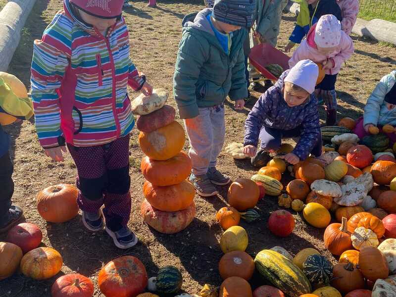 Návštěva Dýňového světa 16.10.2026