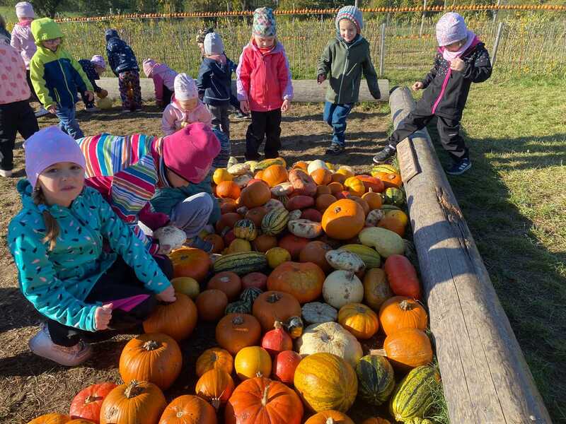 Návštěva Dýňového světa 16.10.2026
