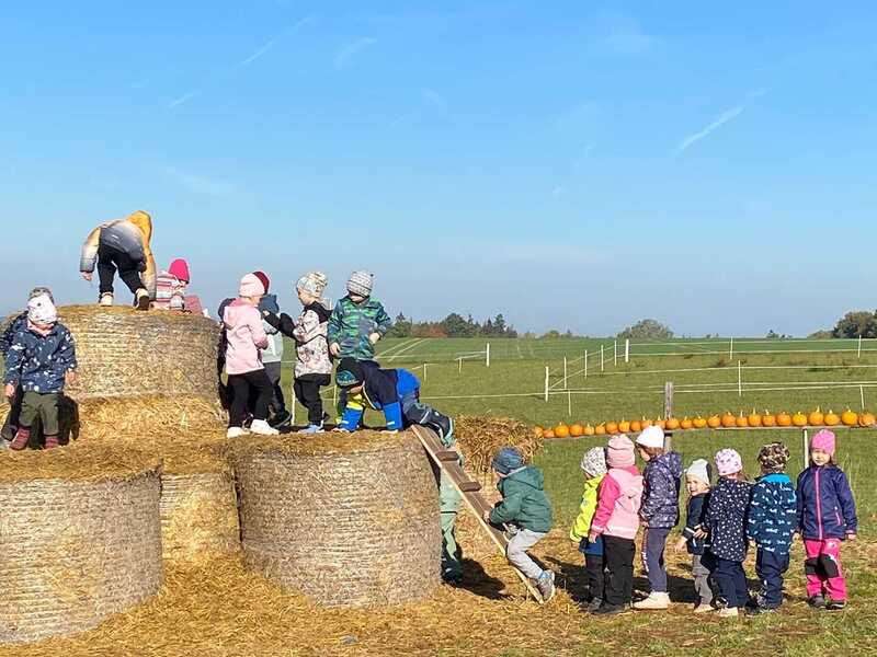 Návštěva Dýňového světa 16.10.2026